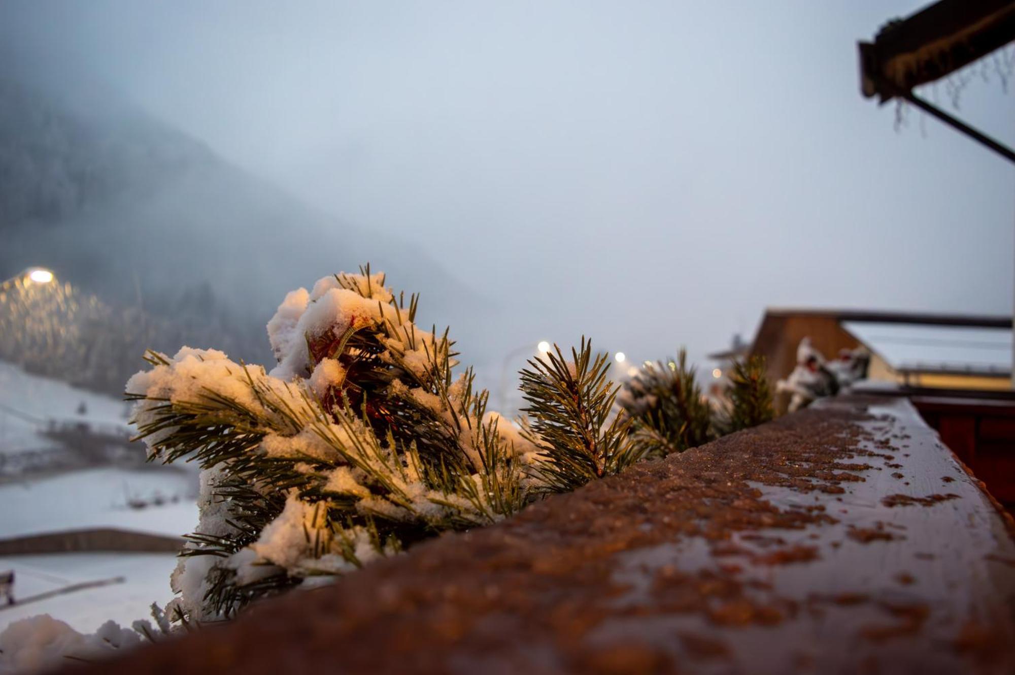 Albergo Serena Auronzo di Cadore Exterior foto